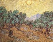 Vincent Van Gogh Olive Trees with Yellow Sky and Sun (nn04) china oil painting reproduction